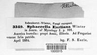 Sphaerella earliana image